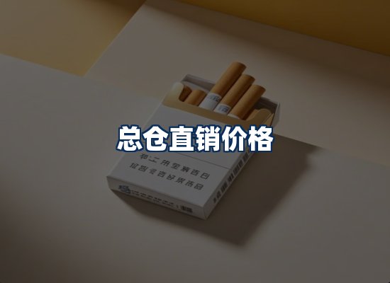 专业团队办公环境